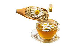 Camomile